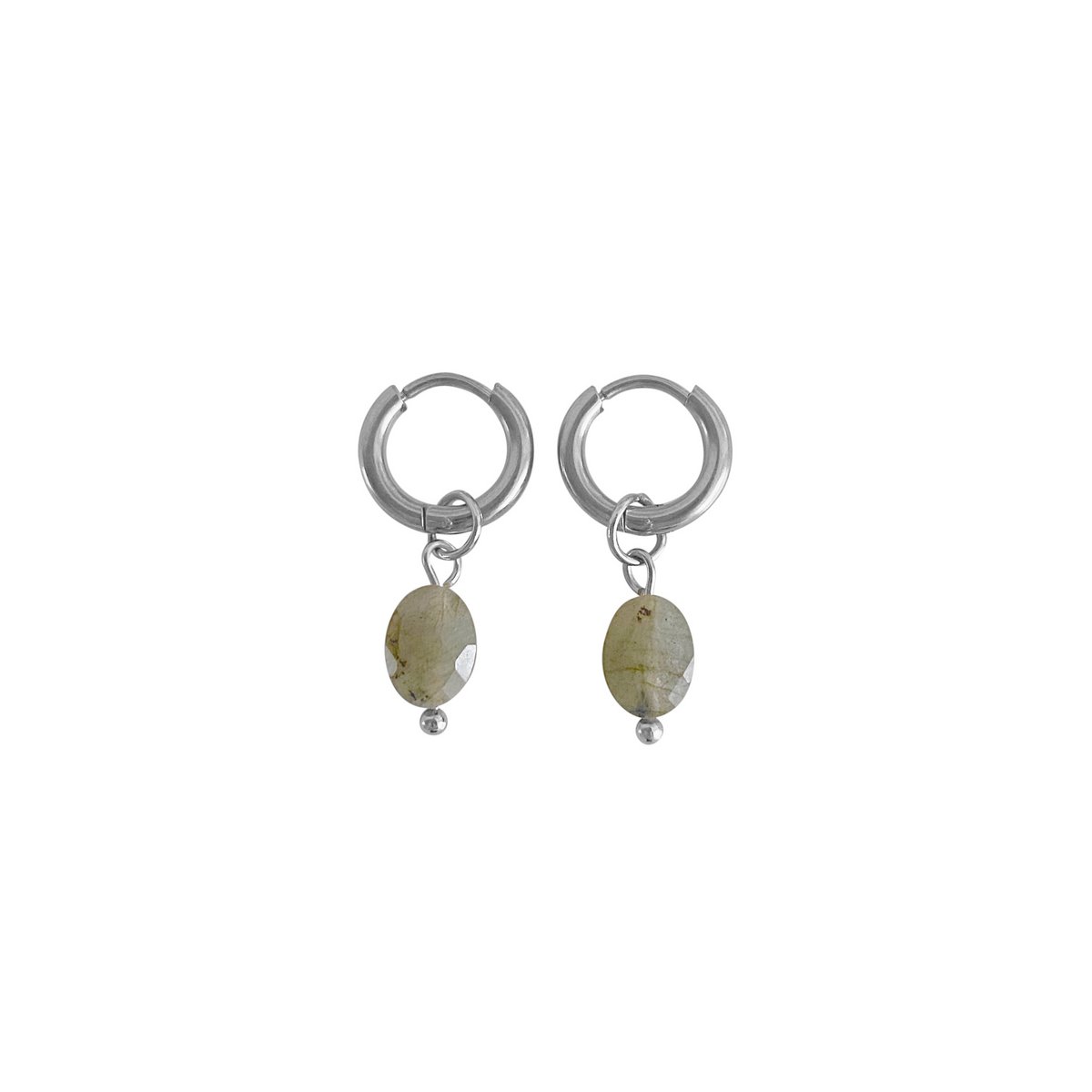 Pendientes Facetados de Labradorita - Plata