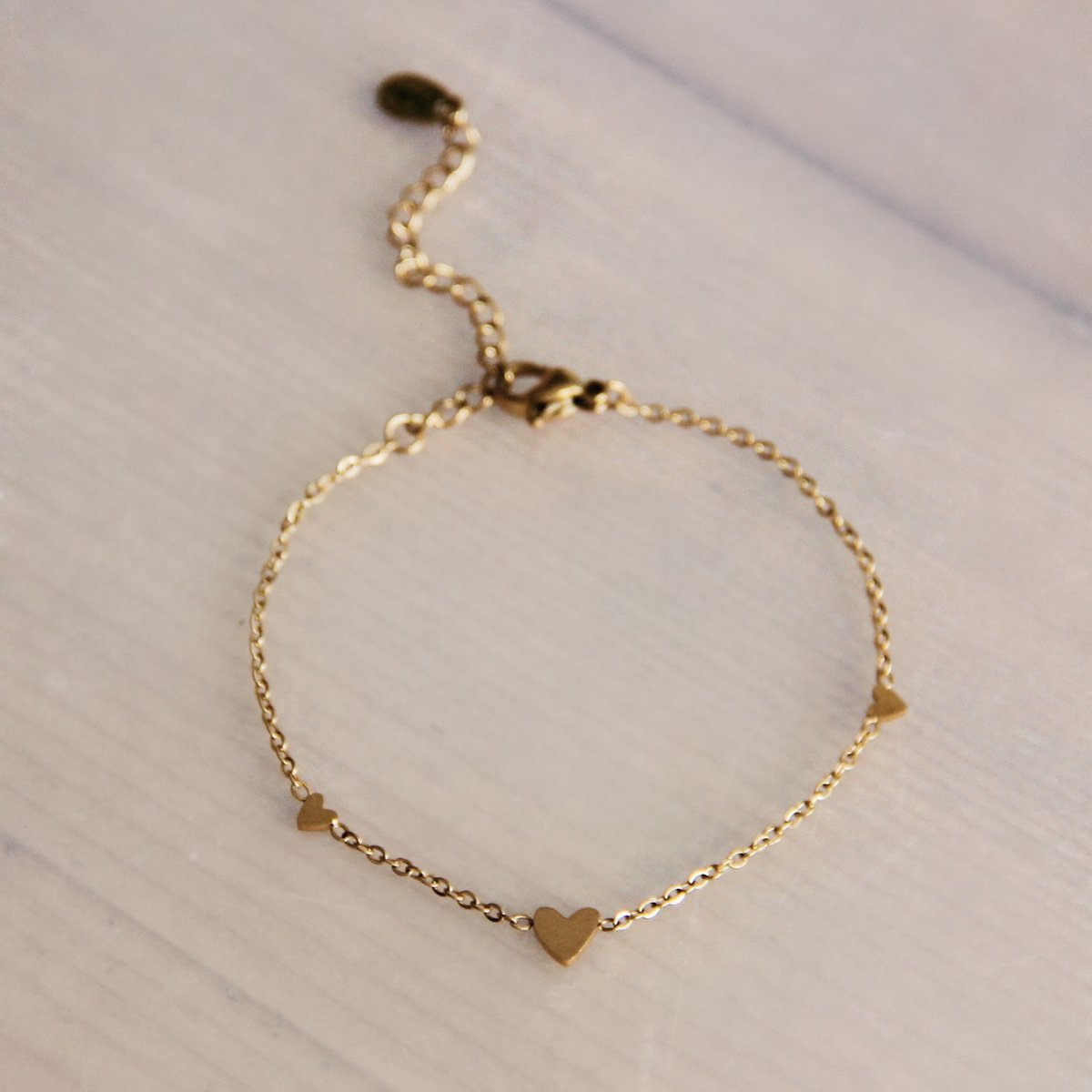 RVS Armband met Verlengkettinkje - Tijdloze Elegantie