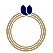 Bling Jewels 